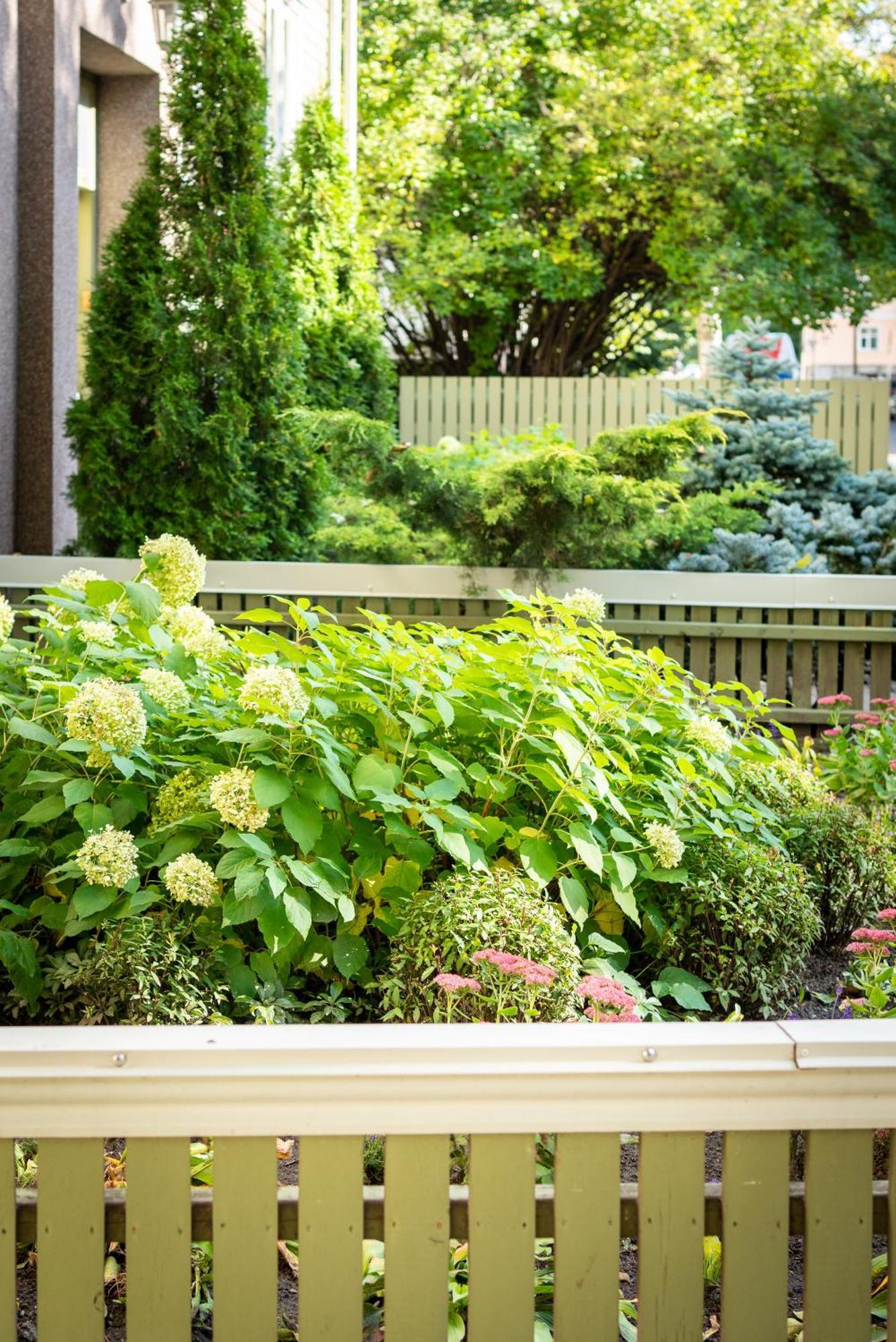 Garden Camping Talin Exterior foto